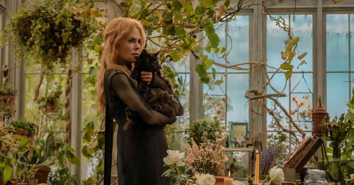 Oké, most már várom az őszt, hogy láttam az Átkozott boszorkák 2. előzetesét 