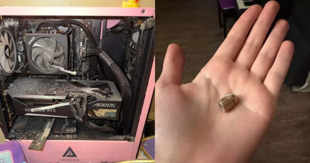 A számítógép mentette meg egy gamer lány életét, miután rálőtt a szomszéd kutya