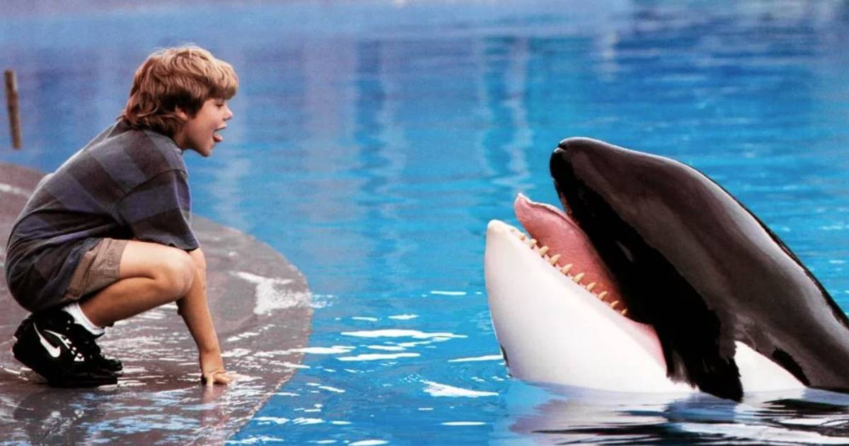 Megint kiszabadítják Willyt, a Russo-testvérek készítenek egy rebootot a Warnernél 