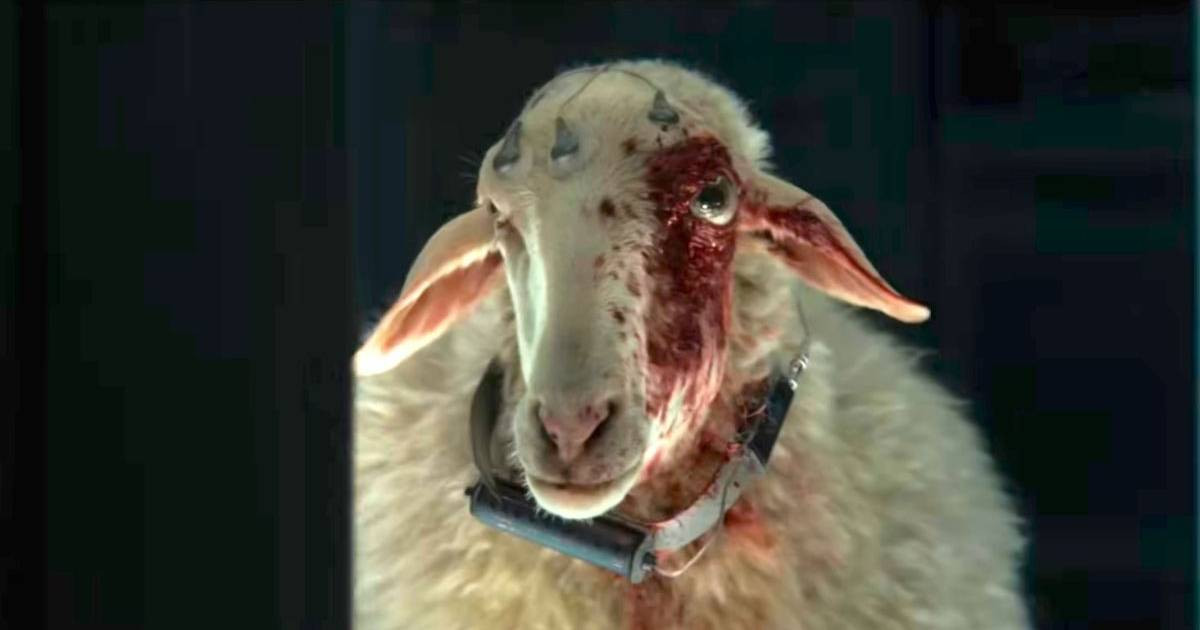 Cuki plüss lett az Alien: Föld legbizarrabb teremtménye