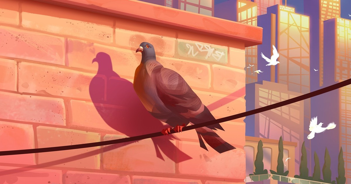 Pigeon: A Love Story bemutató – Galambíciók a szerelem oltárán