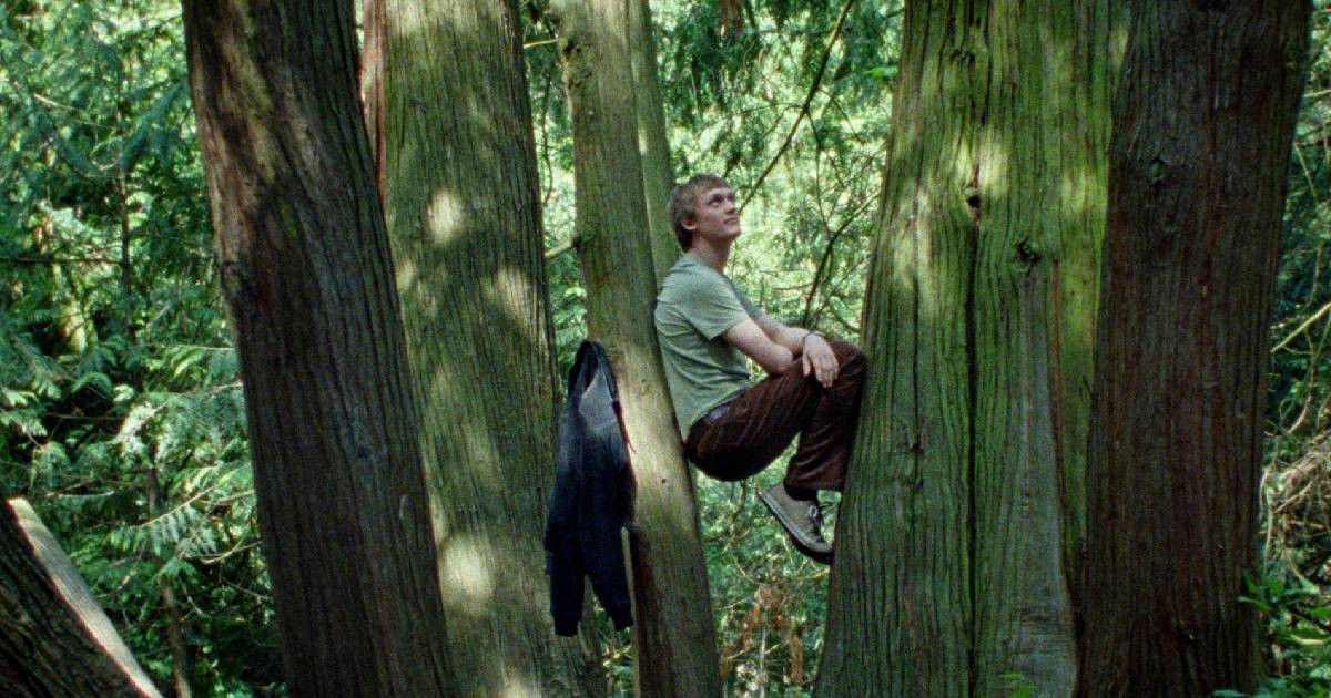 Növényközpontú filmmel nevez Magyarország az Oscarra, és ebben semmi meglepő nincs 