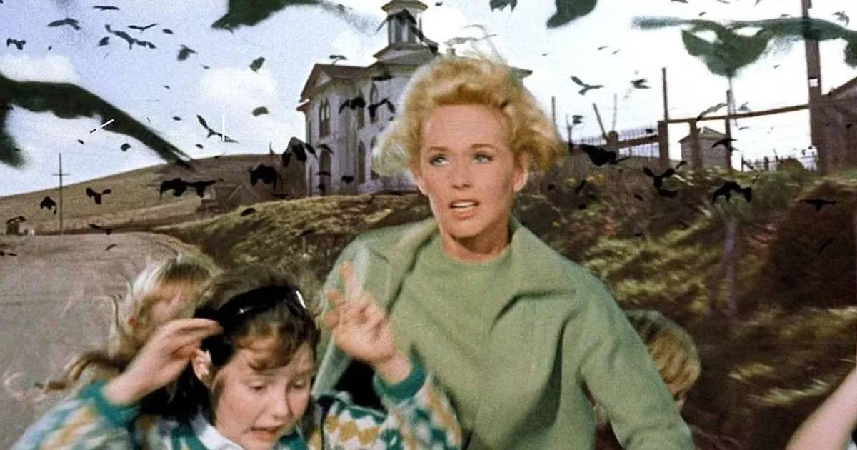 Az HBO visszahozza Hitchcock horrormadarait, már a főszereplő is megvan 