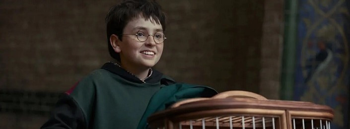 Harry Potter-sorozat