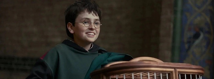 Harry Potter-sorozat