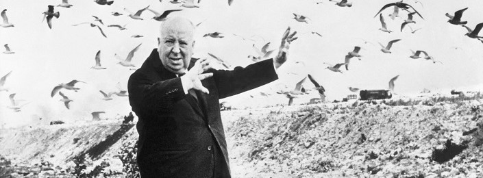 Visszatérnek Hitchcock madarai