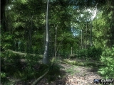 Akció, stratégia, CryENGINE 2, MMORPG... Akció, stratégia, CryENGINE 2, MMORPG...