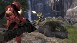 Bungie: virágzó tervek Bungie: virágzó tervek