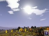 Medieval: Total War Medieval: Total War