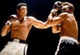 Mike Tyson ismét a ringben Mike Tyson ismét a ringben