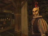 The Elder Scrolls III: Morrowind