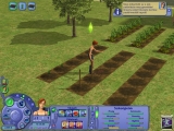 The Sims 2: Évszakok