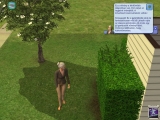 The Sims 2: Évszakok