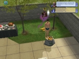 The Sims 2: Szabadidő