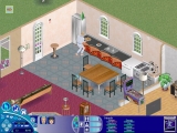 The Sims