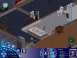 The Sims