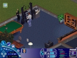 The Sims