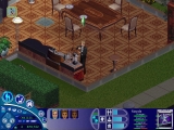 The Sims