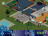 The Sims