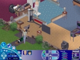 The Sims