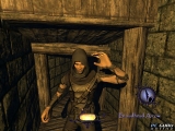 Thief : Deadly Shadows (Thief 3)