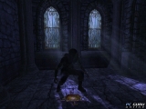 Thief : Deadly Shadows (Thief 3)
