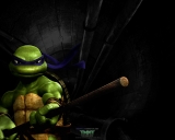 TMNT (Teenage Mutant Ninja Turtles)