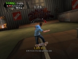 Tony Hawk's American Wasteland