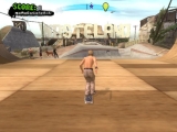 Tony Hawk's American Wasteland