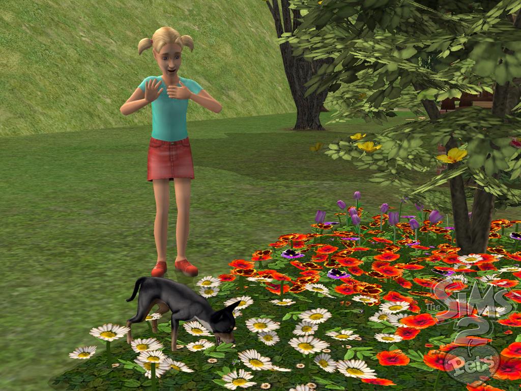 The Sims 2: Házi kedvenc