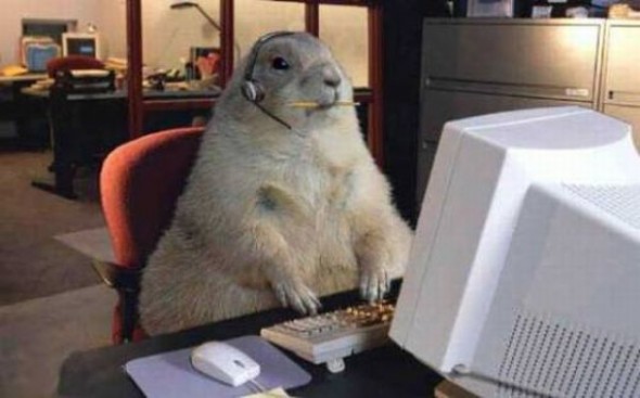 A PC még mindig népszerű az USA háztartásaiban