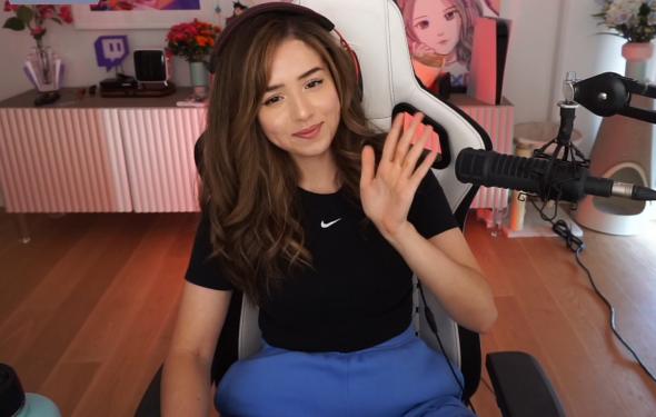 pokimanetwitch.jpg