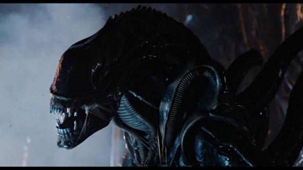 xenomorph.jpg