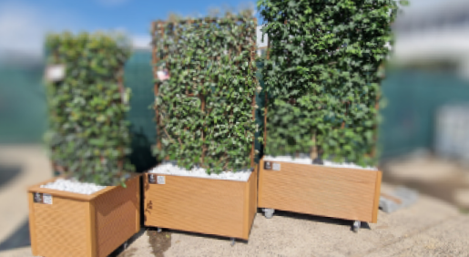 plantstorehu-2024-julius-0-cikk-1.png