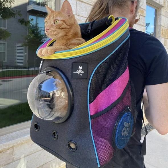 straybackpack.jpg