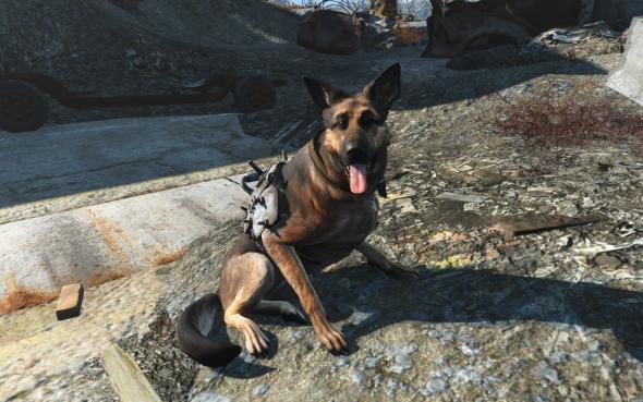 fallout-4-dogmeat-video-games-fallout-wallpaper.jpg