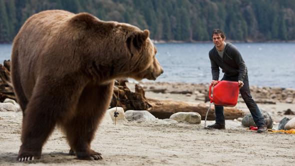 intothegrizzlymazeoriginal.jpg