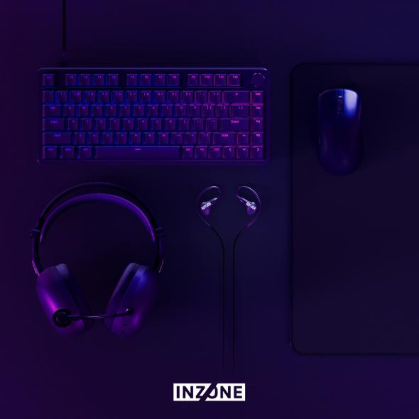 sonyinzone.jpg