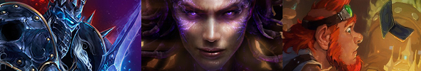 blizzard-banner-jav.jpg
