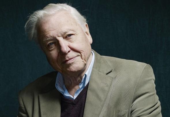 david-attenborough.jpg