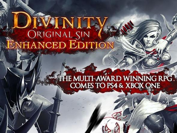 divinity-original-sin-enhanced-edition.jpg