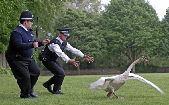 hot-fuzz-04.jpg