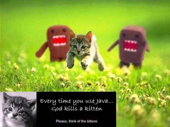 JAVA