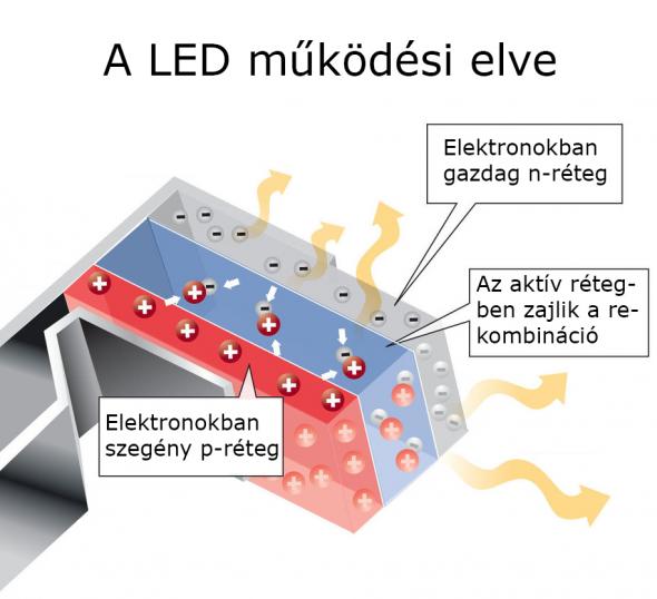 oled-1.jpg