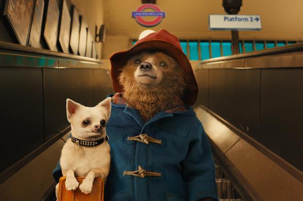 paddington-films.jpg