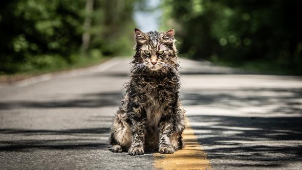 pet-sematary-1.jpg