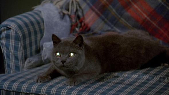 pet-sematary-1989-4.jpg