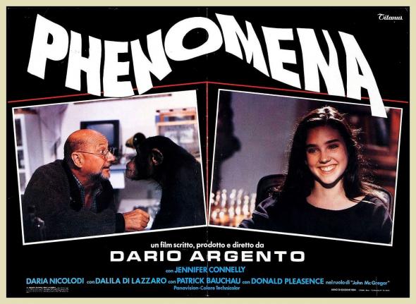 phenomena-cover.jpg