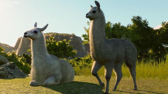 planet-zoo-lamak-01.jpg