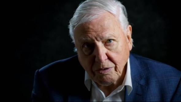 sirdavidattenborough.jpg